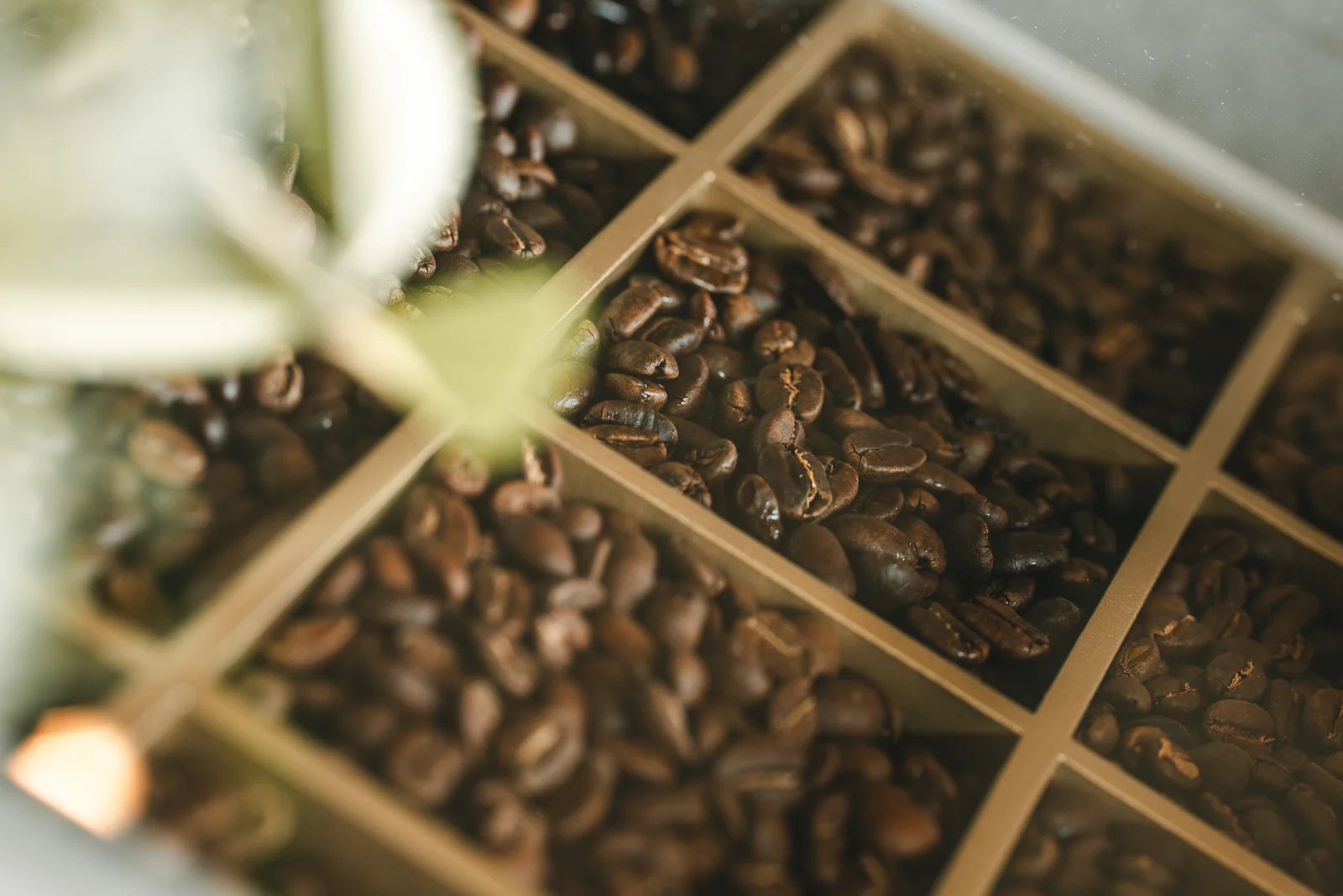 Café space and roasting machine at Lav fabec roasters (Kumamoto)